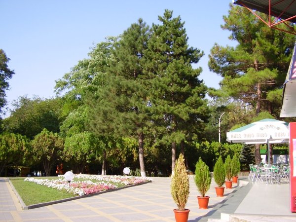 Центральный сквер Анапа