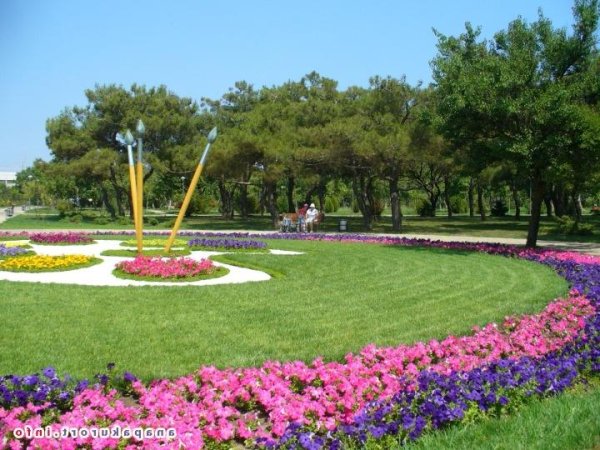 Ореховая роща Анапа