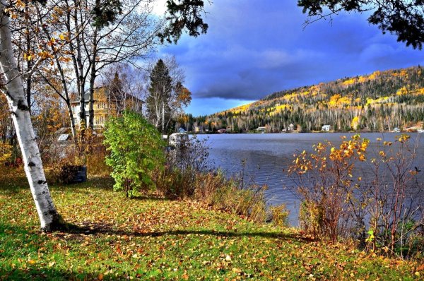 Осенний лес с озером