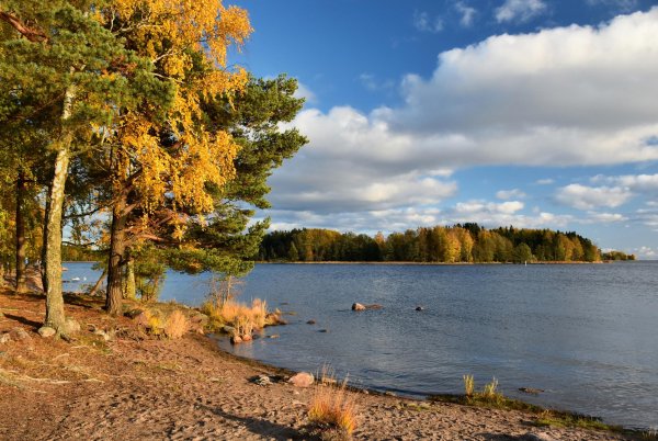 Лемболовское озеро осенью