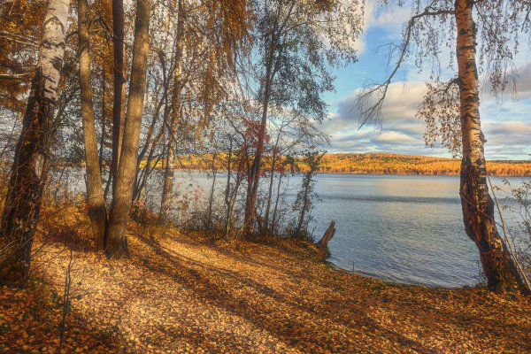 Берег озера осень