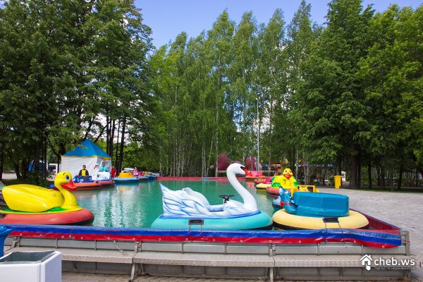 Парк 500 летия Чебоксары Амазония