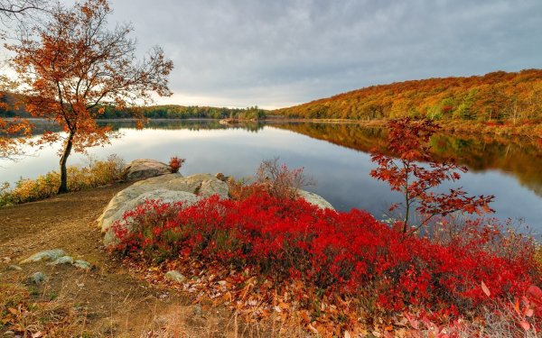 Природа озеро осень