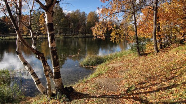 Осенний берег реки