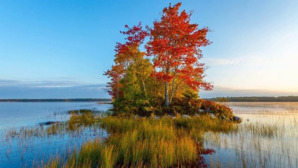 Золотая осень озеро природа река лес