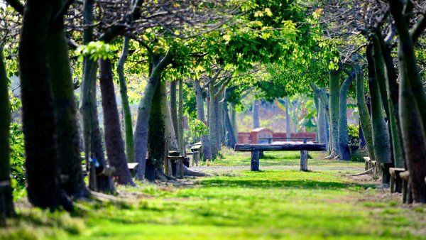 Парк с лавочками в Германии