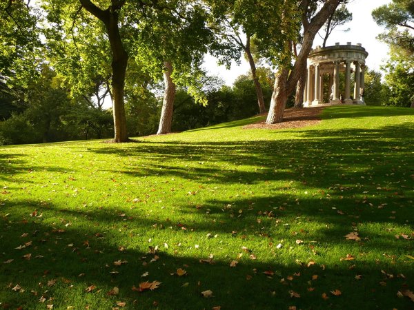 Дубовая аллея Краснодар