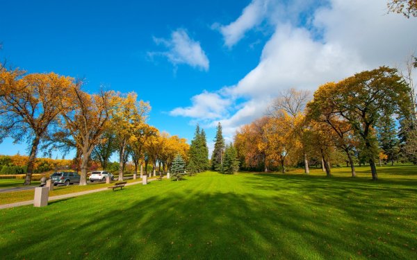 Панорама парк деревья