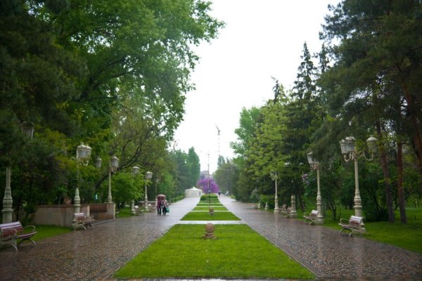 ЦПКИО Волгоград