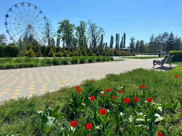 ЦПКИО Волгоград 2022