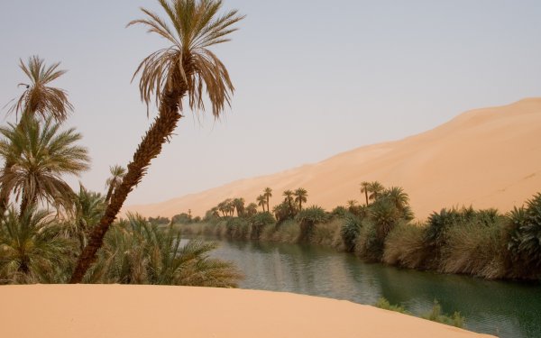 Оазис Убари в Ливии