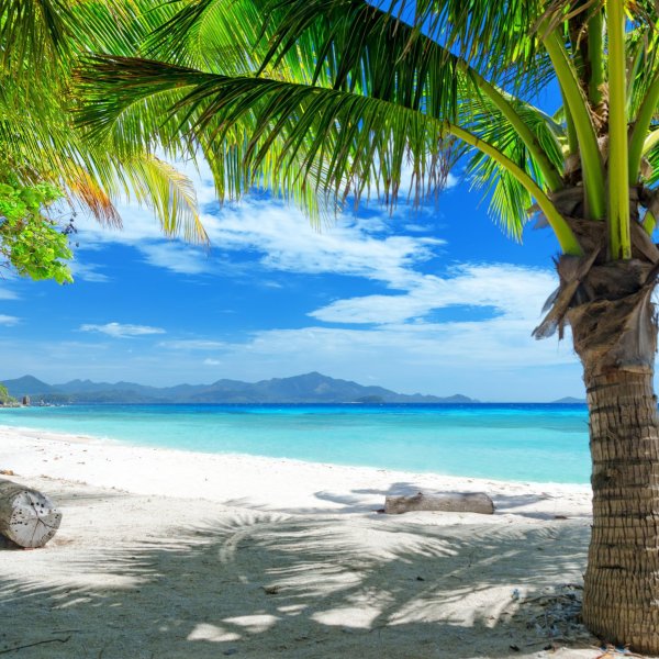 Красивая природа пляж