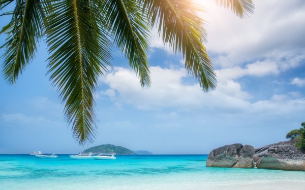 Остров пальмы море