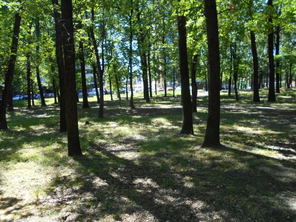 Центральный парк имени Ленина Белгород