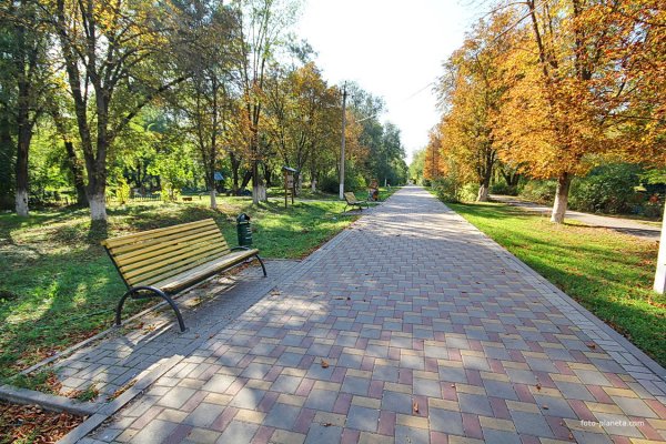 Платан сквер тротуар