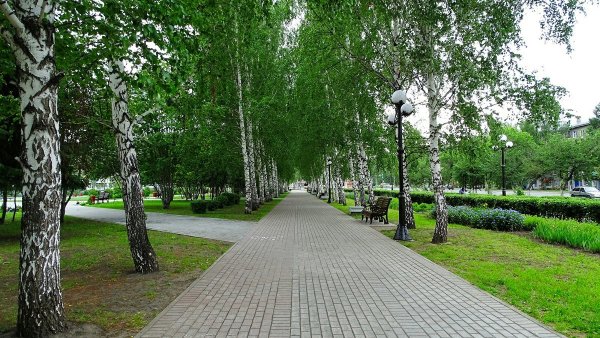 Сквер Томск