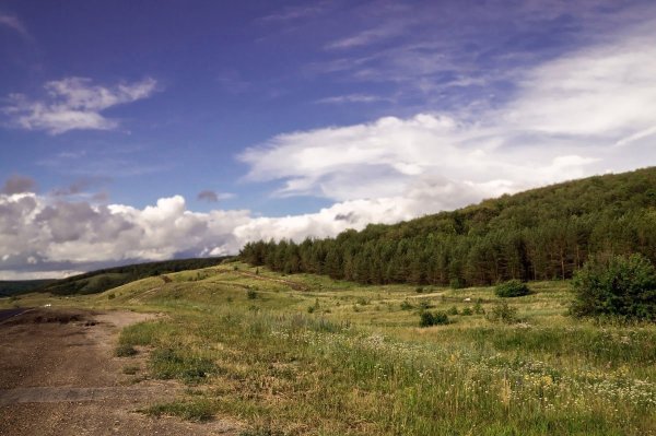 Хвалынский заповедник