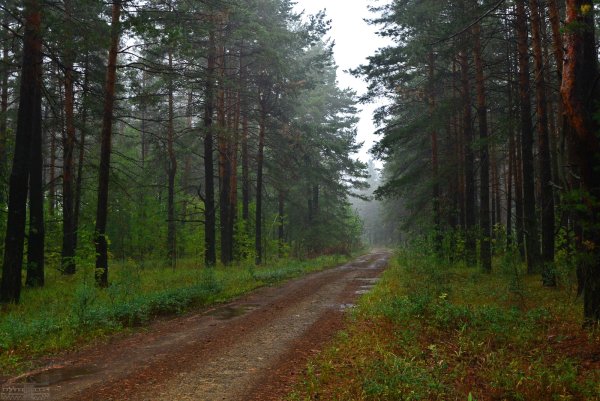 Национальный парк Хвалынский Заповедный край