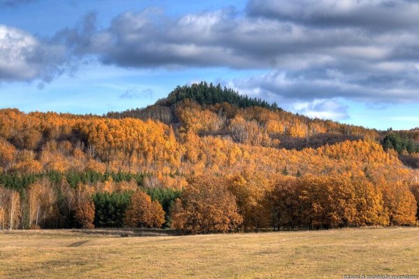 Шиловская шишка Ульяновская область