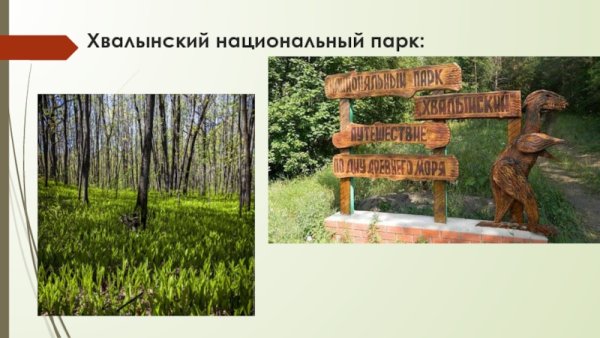 Хвалынский заповедник Саратовской области