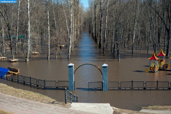 Лесопарк Дружба Тамбов