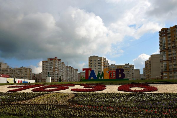 Чичерина французский сквер Тамбов