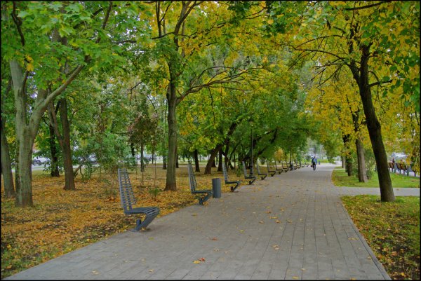 Улица парк