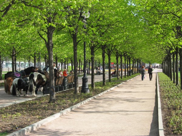 Парк на Цветном бульваре Москва