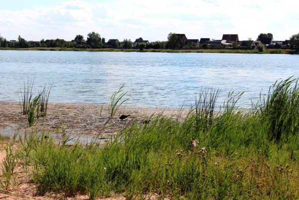 Озеро Броды Могилев