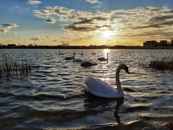 Святое озеро Могилев