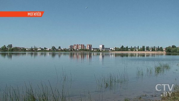 Гребенево Могилев