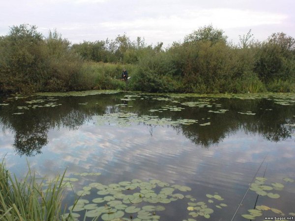 Хотомля (река)