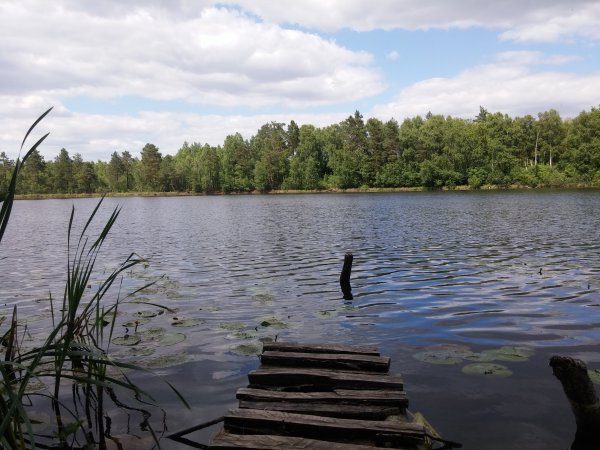 Озеро теплое Брянская область