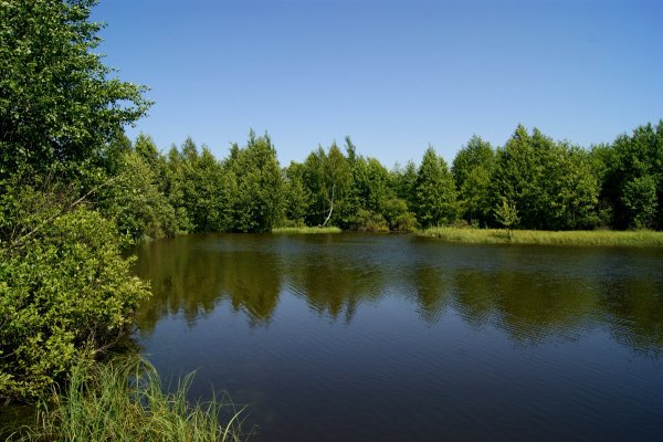 Могилевская область природа