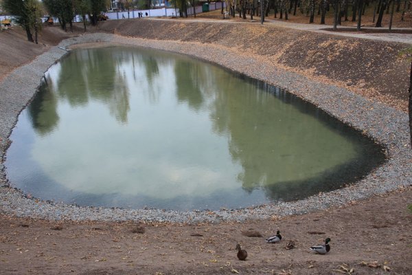 Спустили озеро