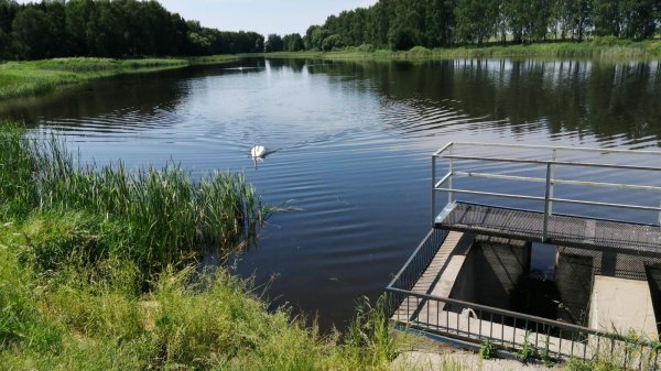 Могилевская Губерния озеро езеро