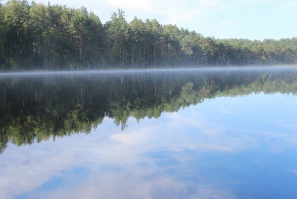 Шепелевичи Белыничский район озеро