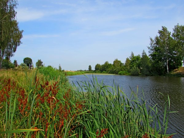 Святое озеро Ивановская область