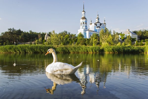 Суздаль храм белый лебедь
