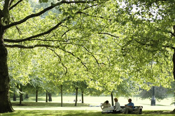 Грин парк Англия