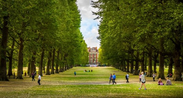 Парк в Лондоне Грин парк