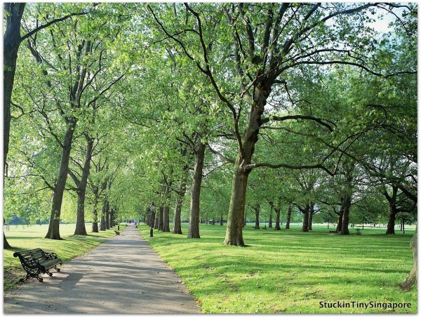 Зеленый парк в Англии