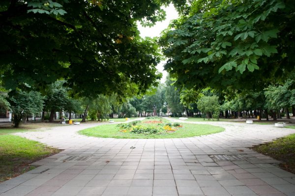 Наташкин парк Рязань