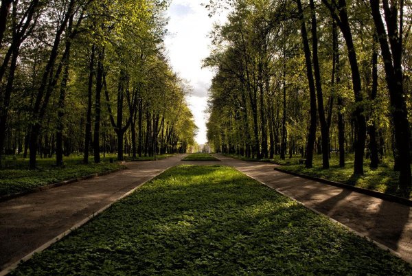 Парк Рюмина роща Рязань