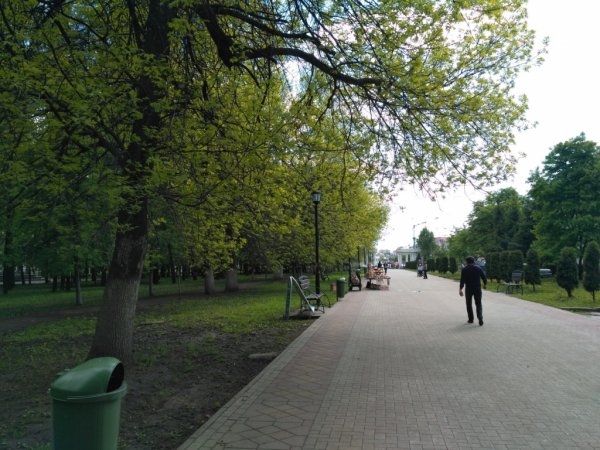 Лесопарк Рязань парк