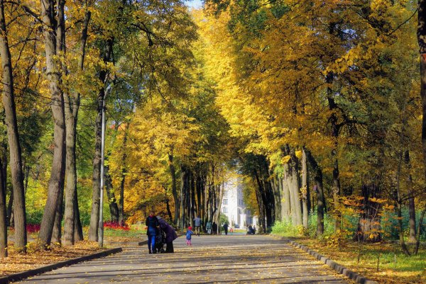 Городской парк Шуя осенью