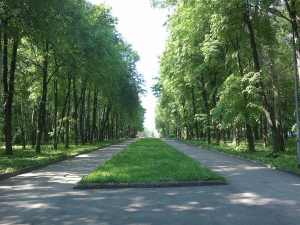 Парк ЦПКИО Рязань