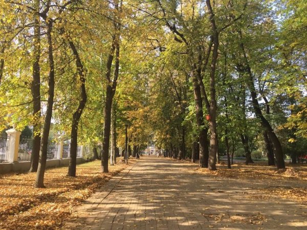 Верхний городской сад Рязань