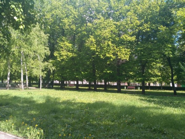 Центральный городской парк Рязань