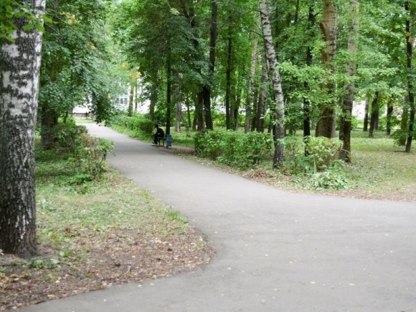 Приокский лесопарк Рязань